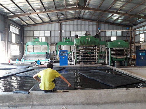 phan phoi mut xop eva tai thai binh